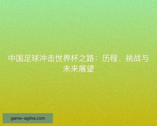 中国足球冲击世界杯之路：历程、挑战与未来展望